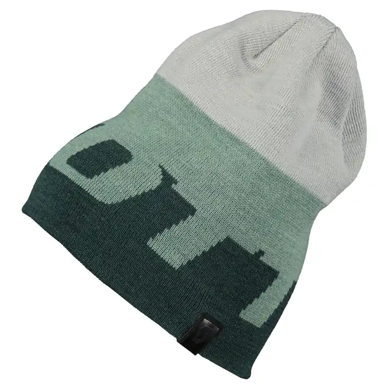 Autentický Scott Beanie Team 30 (Zelená) - Zimní čepice Endorphin Republic