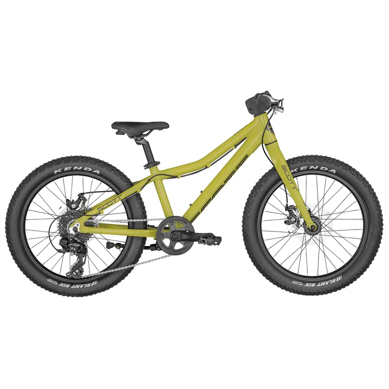 Scott Roxter 20 green - Dětské horské kolo Endorphin Republic Sezónní Sleva