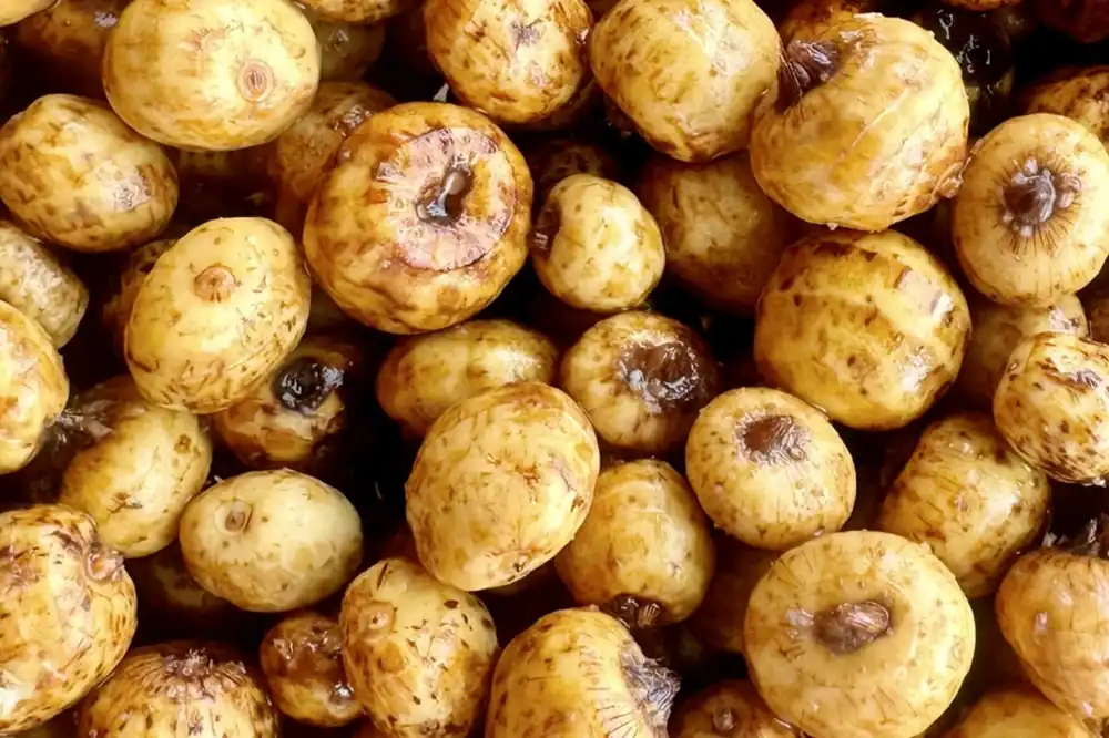Speciální Cena MIVARDI Tygří ořech 5kg
