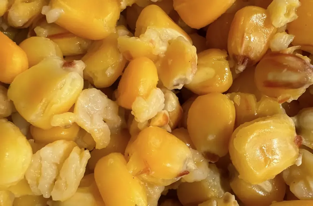MIVARDI Kukuřice 2,5kg Přímo Od Výrobce