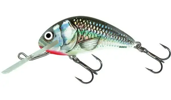 SALMO Wobler Hornet Floating Holographic Grey Shiner-4 cm 3 g Cenová Bomba