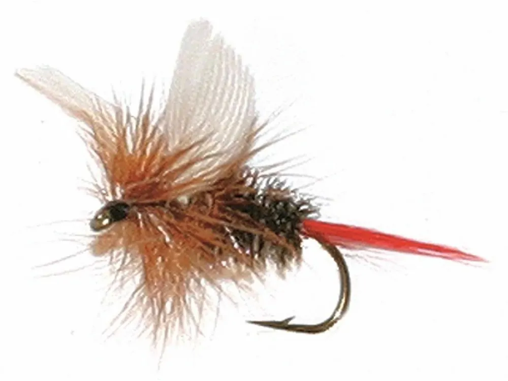 Finální Výprodej Unique Flies Coachmann Brown