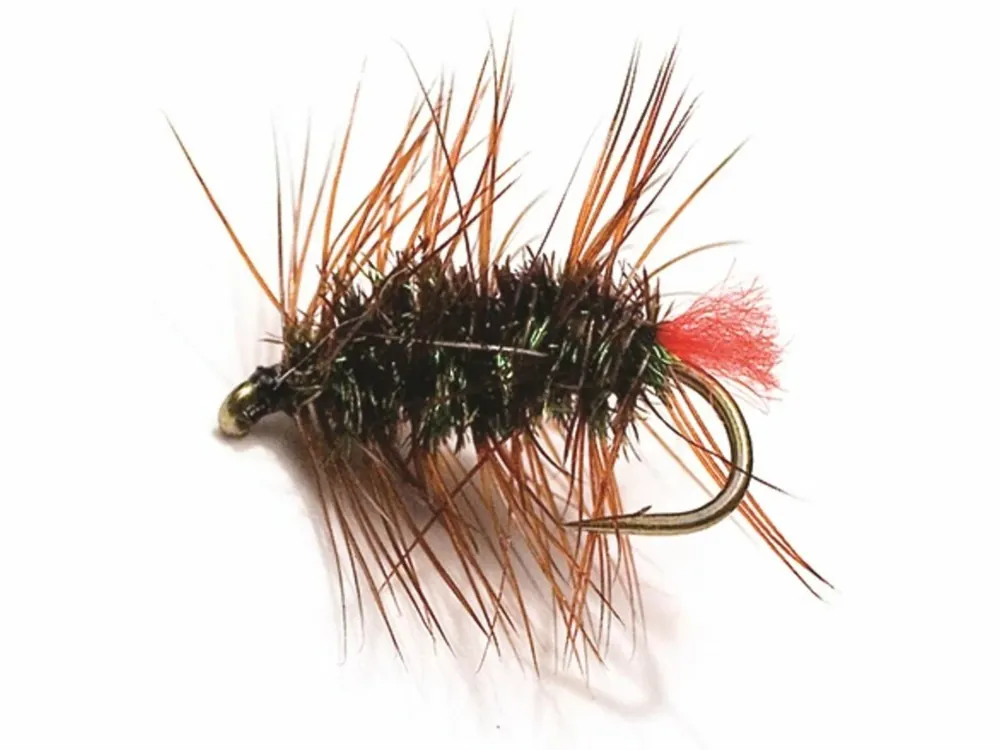 Unique Red Tag Palmer Brown/Red Přímo Od Výrobce