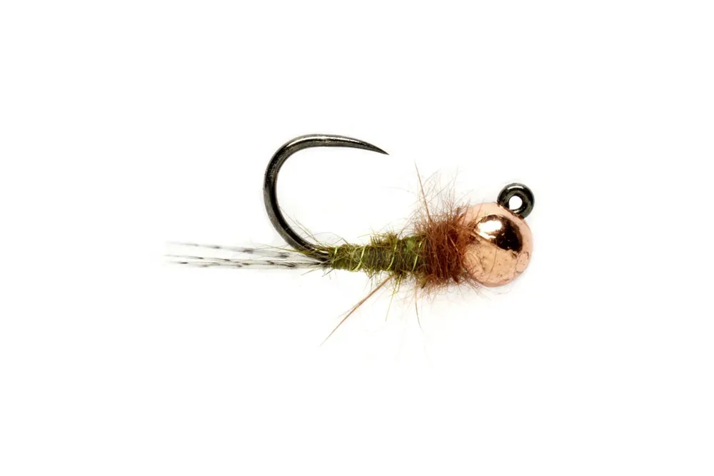 Horká Nabídka Luboš Roza Olive Nymph