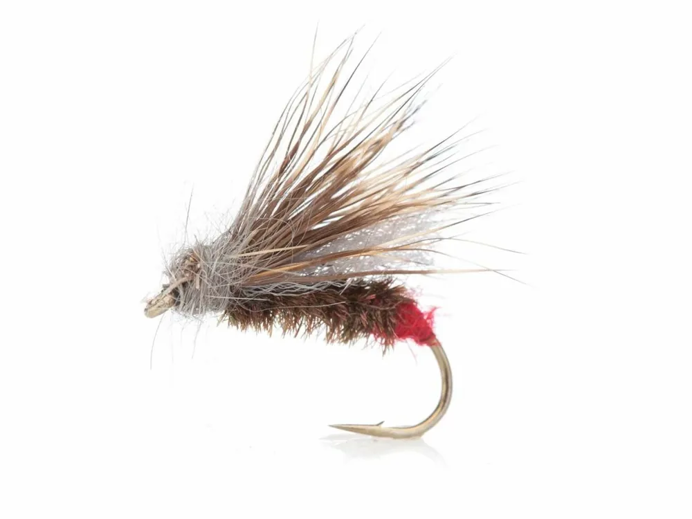 Pouze Dnes Unique Flies Redtag Caddis