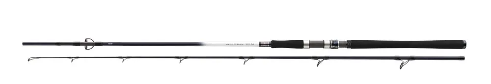 Ověřený Daiwa Grandwave Pollock Pilkrute 240 cm 40-100 g