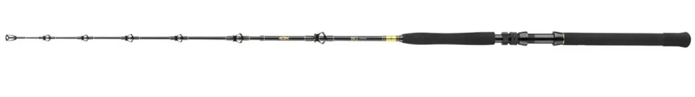 Daiwa BG Big Game Rute 168cm 30-50lbs Nejprodávanější
