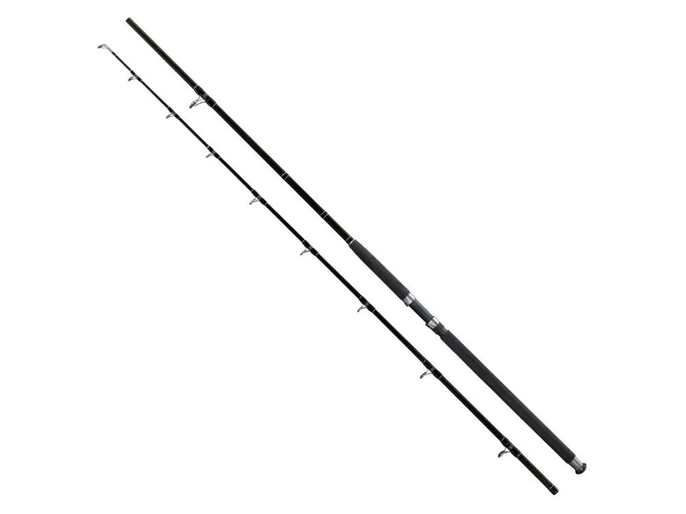 Giants fishing Prut Deluxe Catfish 2,9m 500g Originální