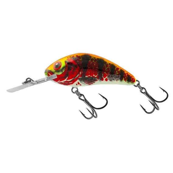 Odeslání Ihned Wobler SALMO Rattlin hornet 3,5cm barva HOLO RED PERCH