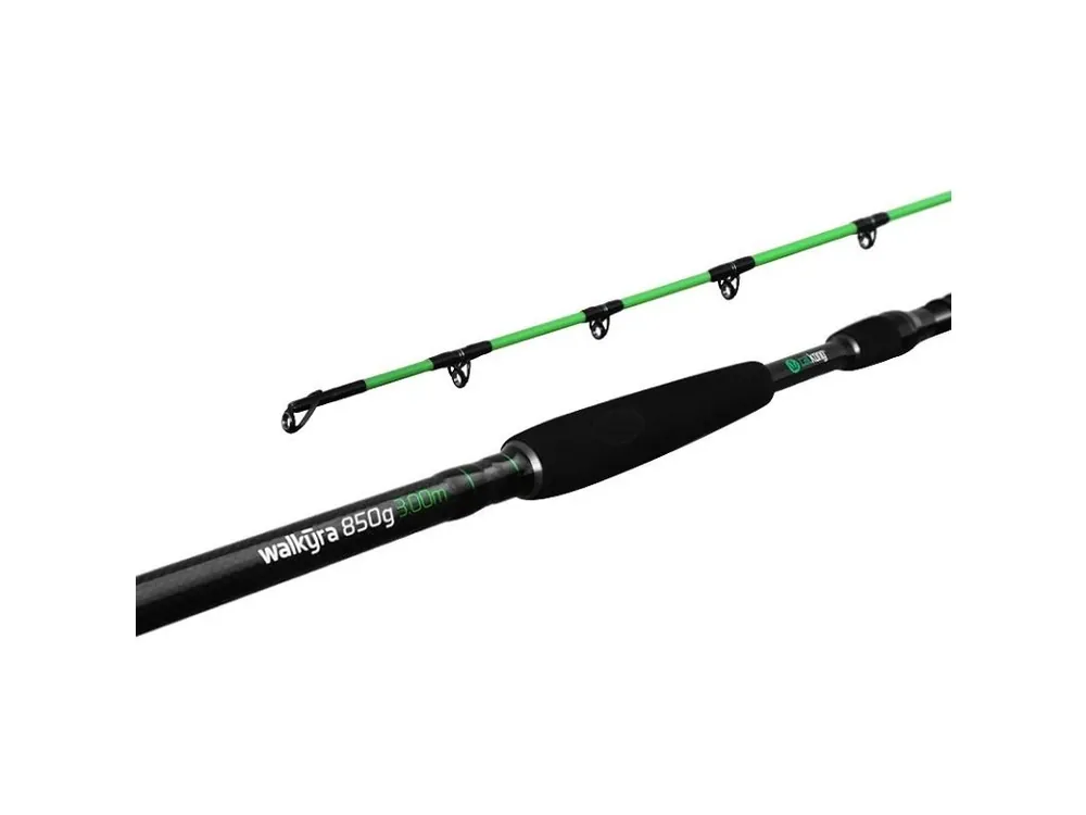 Aktuální Delphin Catkong WALKÝRA 260cm 850g 2díl