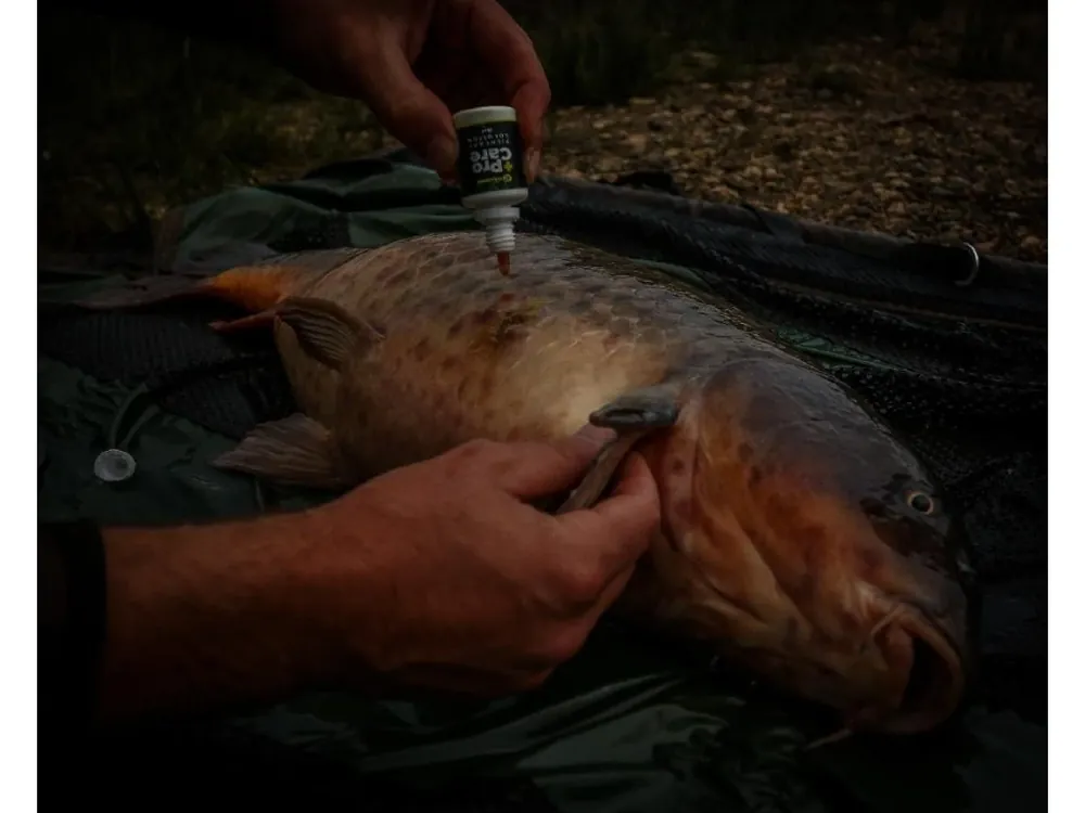 RidgeMonkey dezinfekce pro ošetření ryb Nakupujte Hned