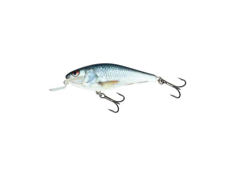 Salmo Wobler Executor Shallow Runner Real Dace 9cm 14,5g Objednat Nyní