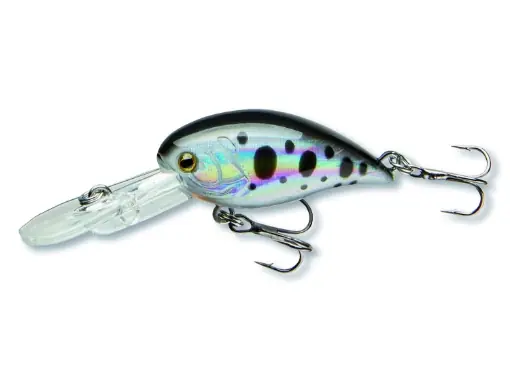 Cormoran COR F12 4.0cm, Dotted Roach Jen Po Omezenou Doba