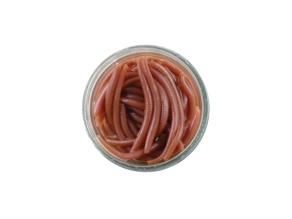 Aktuální Berkley Hnojňáci Alive! (Mini-Earth Worms) 60 g