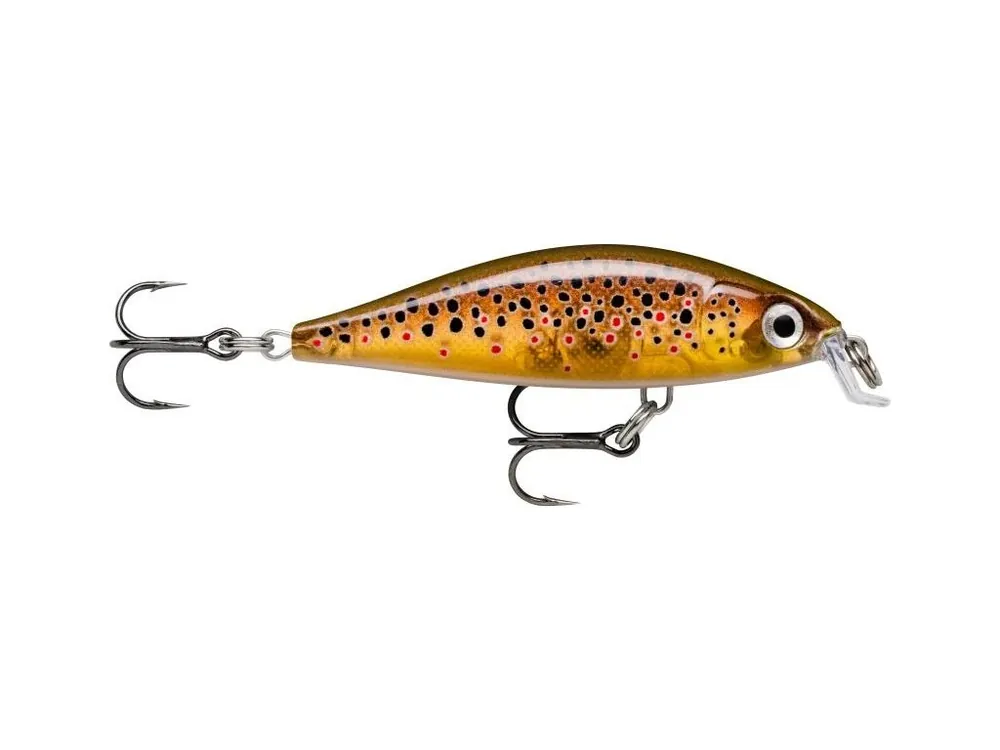 Rapala Wobler X- Light Minnow 05 TRL - 5 cm 4 g Nejlepší Volba