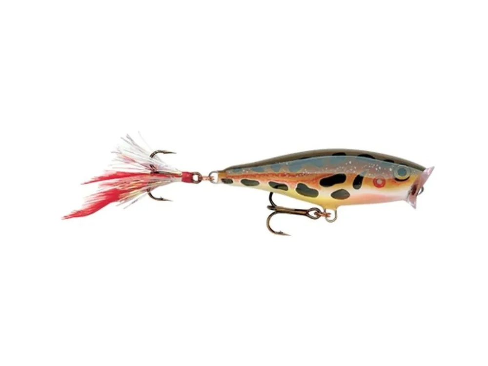 Rapala Wobler Skitter Pop Top Water Fresh 07 F - 7 cm 7 g Pouze Dnes