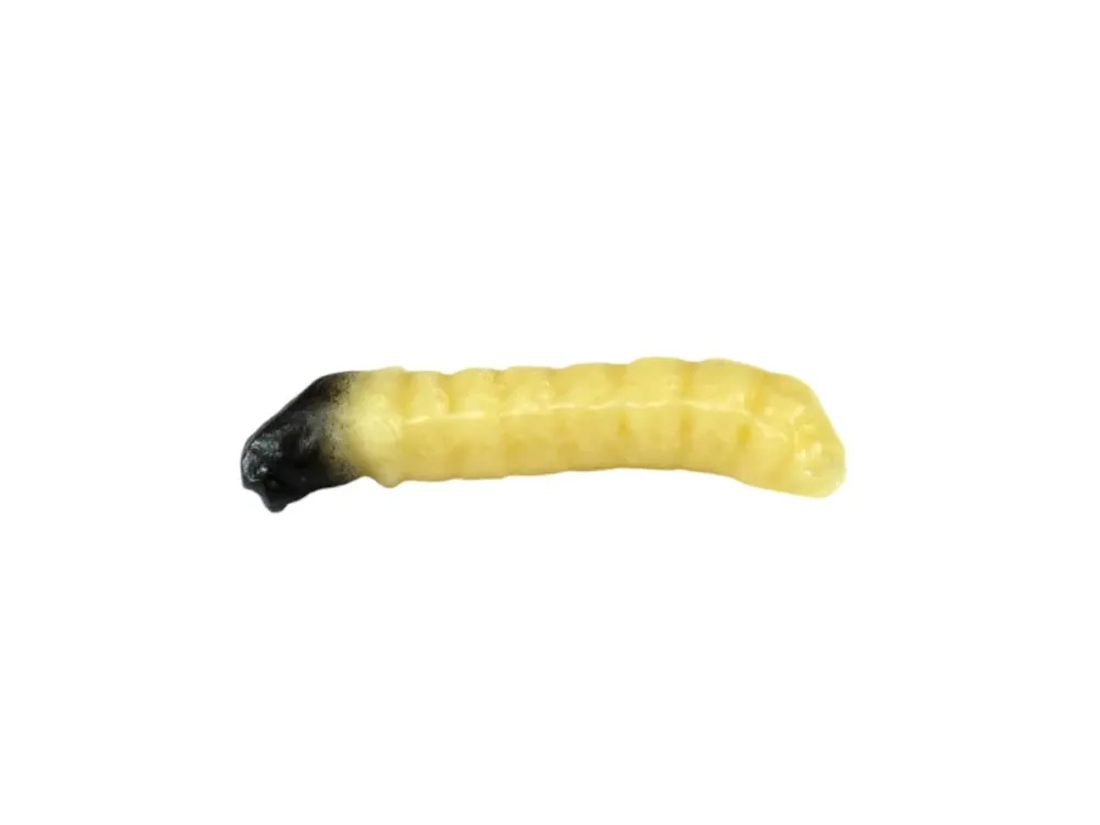 Vysoce Kvalitní Revol Baits Gumová Nástraha Caddis Larva 30 mm - Sýr a Česnek - Natural