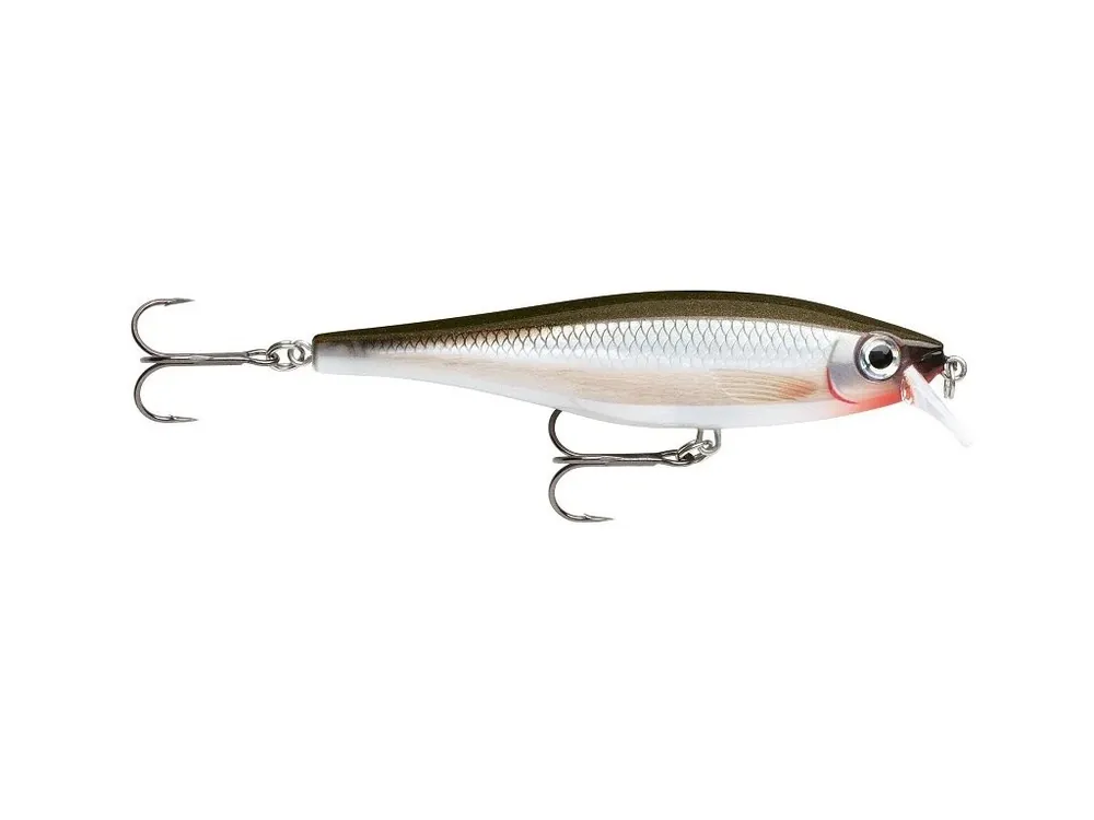 Rapala Wobler BX Minnow S - 10 cm 12 g Pouze Dnes