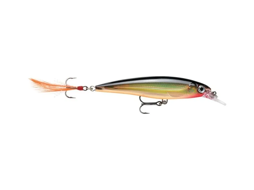 Ihned K Objednání Rapala Wobler X-Rap 10 G - 10 cm 13 g