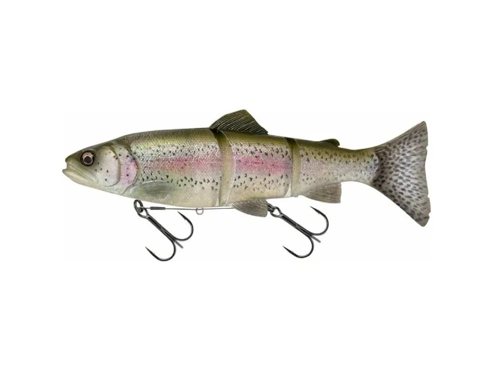 Nejlepší Cena Savage Gear Gumová nástraha 3D Line Thru Trout Clear Rainbow Trout - 15cm 35g