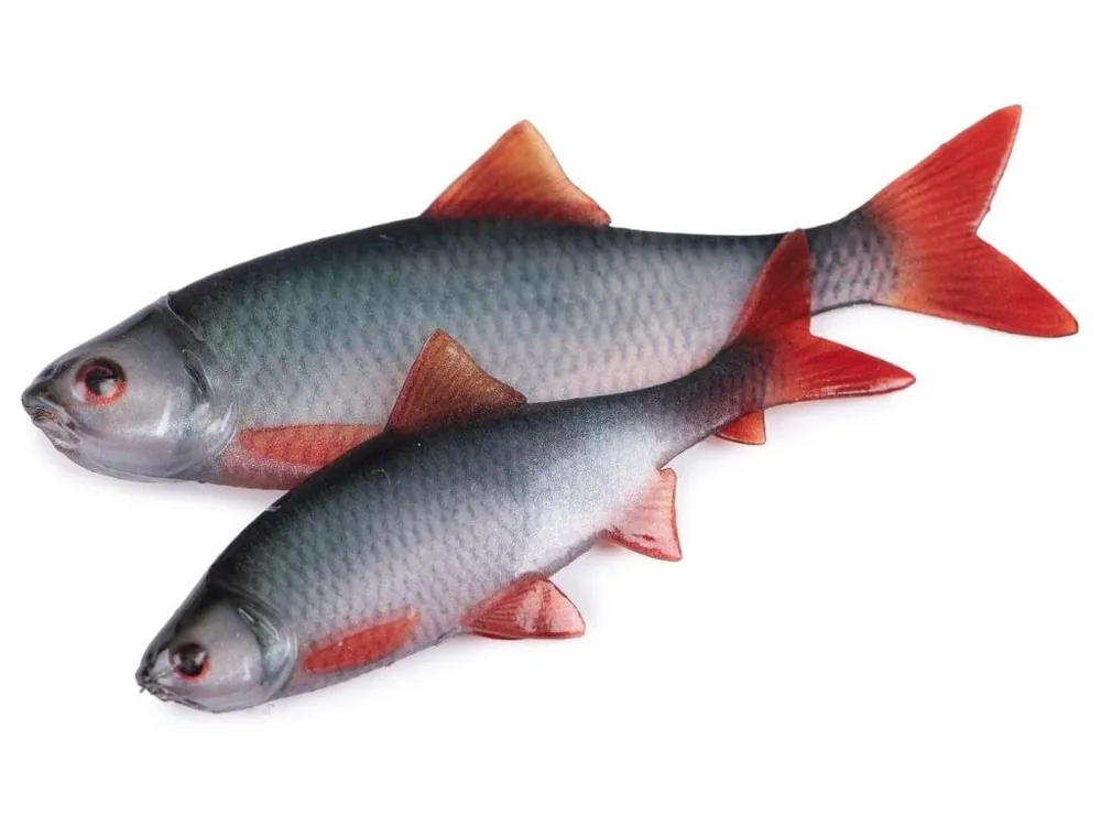 Fox Rage Gumová Nástraha Ultra Natural Roach Fillet 4 ks Ihned K Objednání
