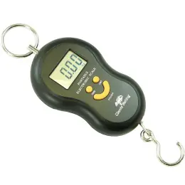 Přímo Od Výrobce Giants fishing Digitální váha Digital Scale 50kg